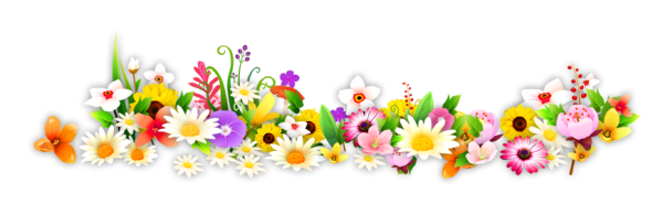 Цветочные бордюры на прозрачном фоне