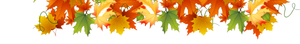 Бордюр из осенних листьев на прозрачном фоне