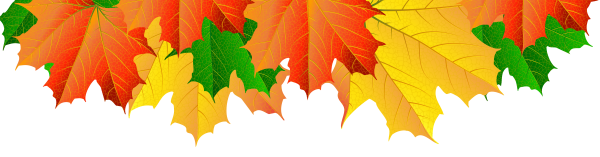 Баннер осенние листья