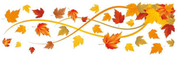 Бордюр из осенних листьев