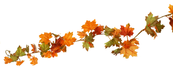 Осенняя веточка на прозрачном фоне