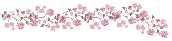 Цветочная полоса на прозрачном фоне