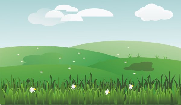 Поляна для детей