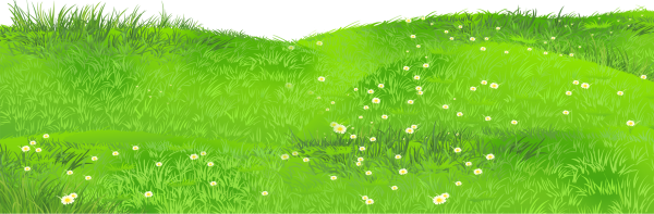 Трава нарисованная