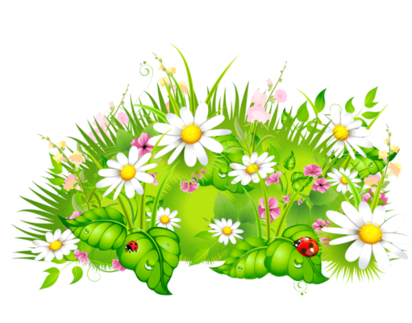 Полянка с цветочками