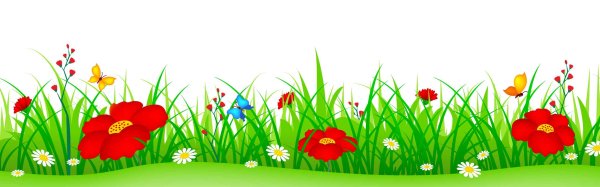 Поляна цветов на белом фоне