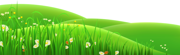 Трава рисунок