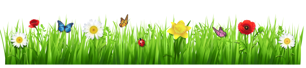 Травка с цветочками на прозрачном фоне