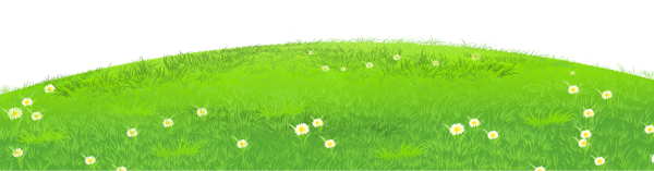 Полянка с цветами вектор