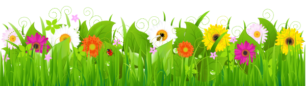 Трава с цветами на прозрачном фоне