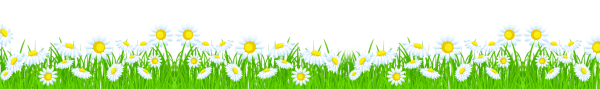 Ромашки бордюр