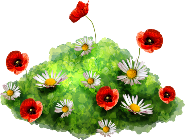 Цветочная Поляна на белом фоне