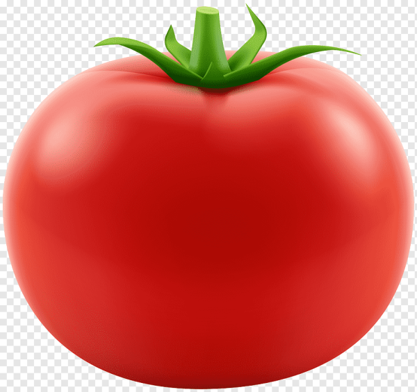 Помидор это овощ