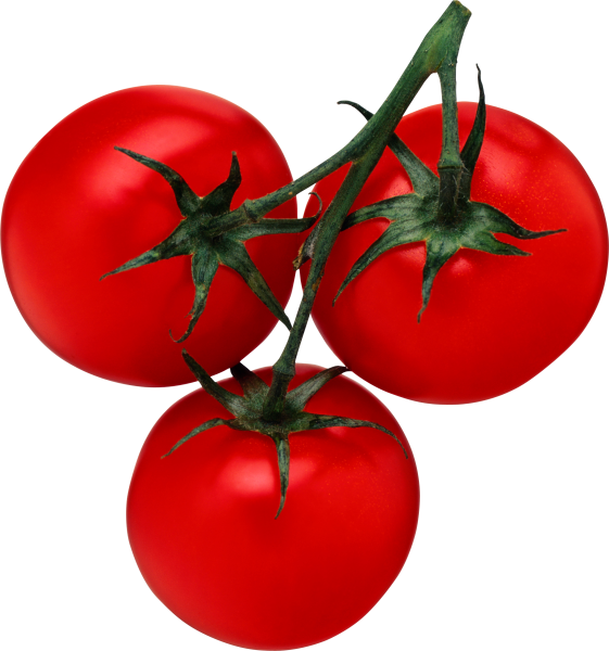 Помидор на белом фоне