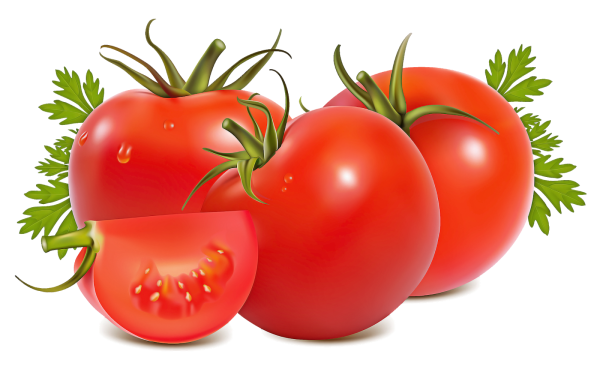 Векторный помидор