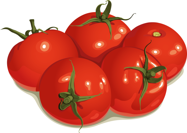 Помидор для детей