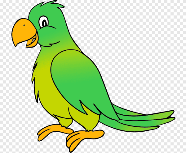 Картун попугай