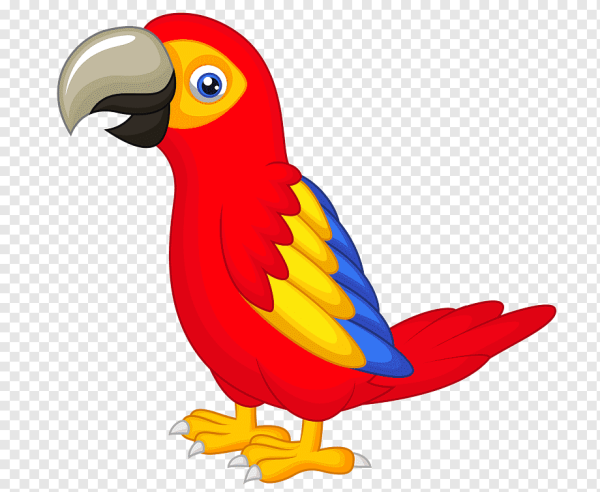 Попугай мультяшный