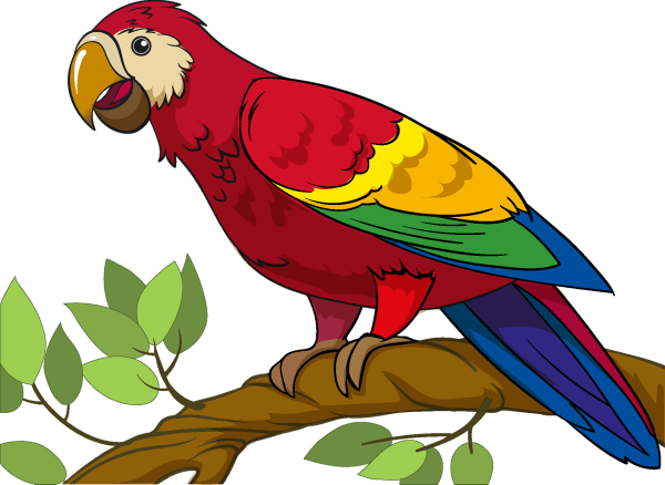 Попугай вектор