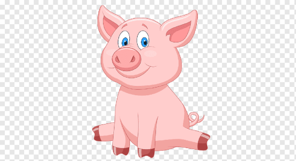 Поросенок на прозрачном фоне