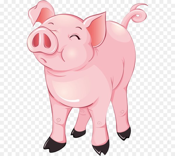 Хрюшка рисунок