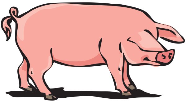 Свинья Векторная Графика