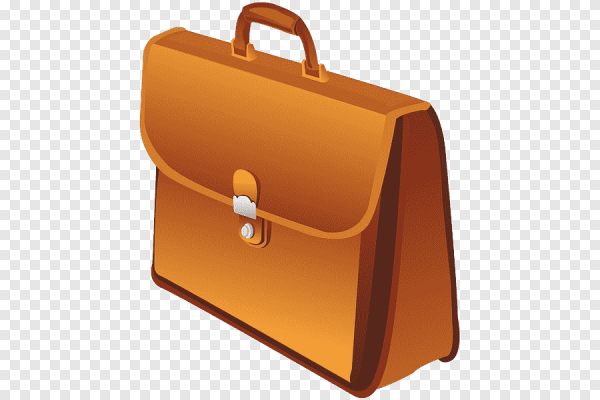 Векторный портфель