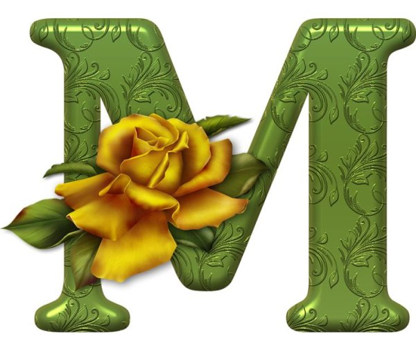 Буквы алфавита с цветами