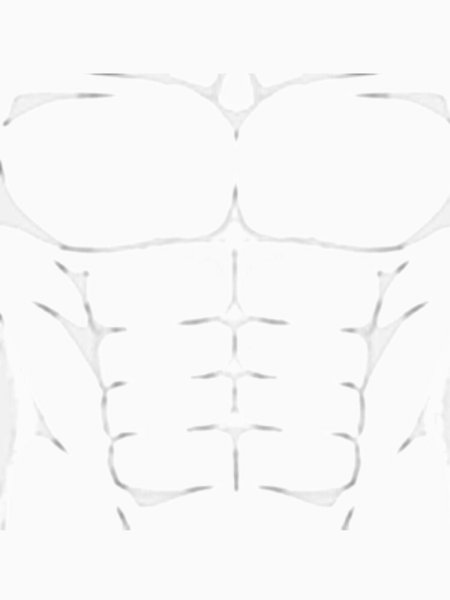 T Shirt Roblox пресс