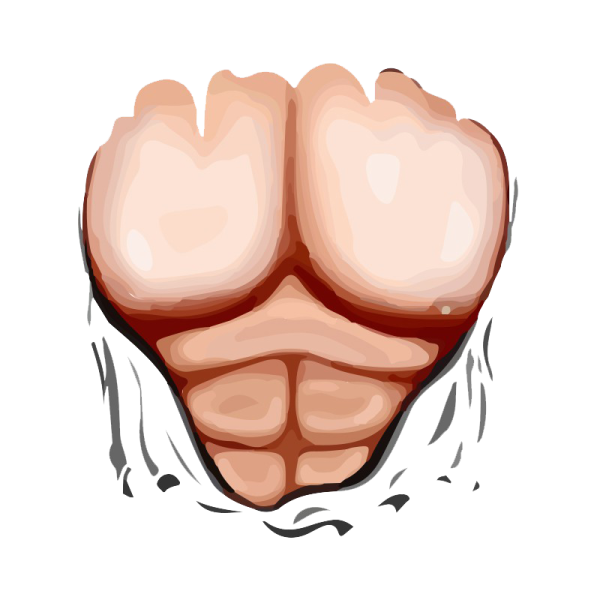 Roblox t Shirt мускулы