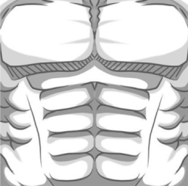 Roblox t Shirt мускулы