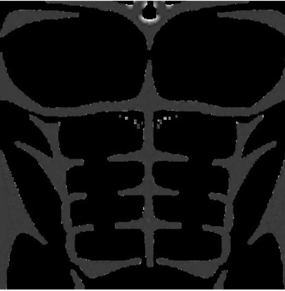 Roblox t Shirt мускулы