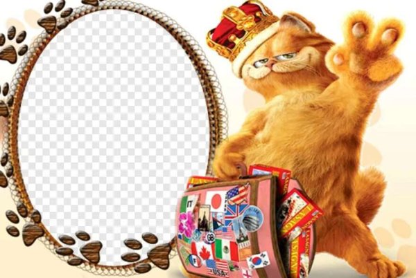 Прикольные рамки для фотошопа