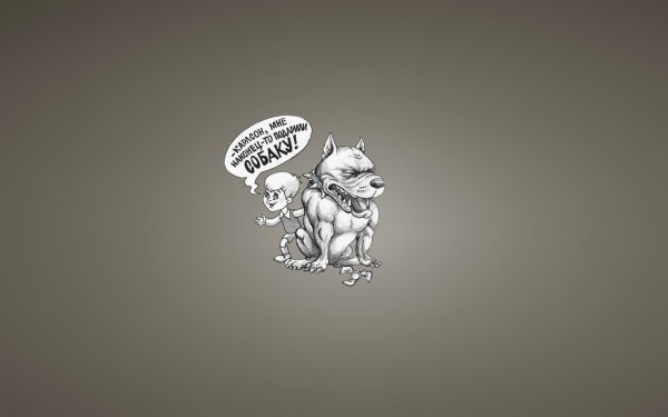 Смешные обои с надписями