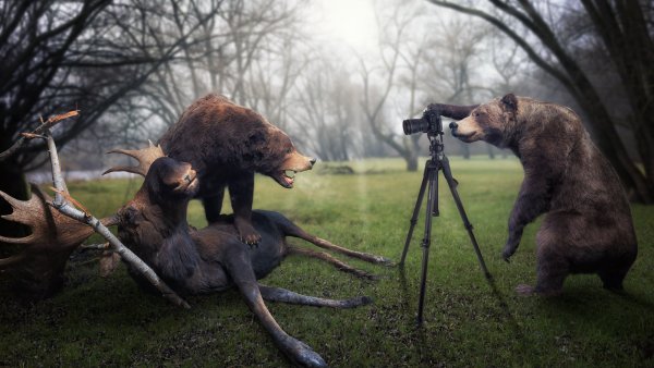 Фотоохота на животных