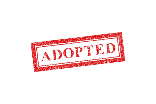 Sold на прозрачном фоне