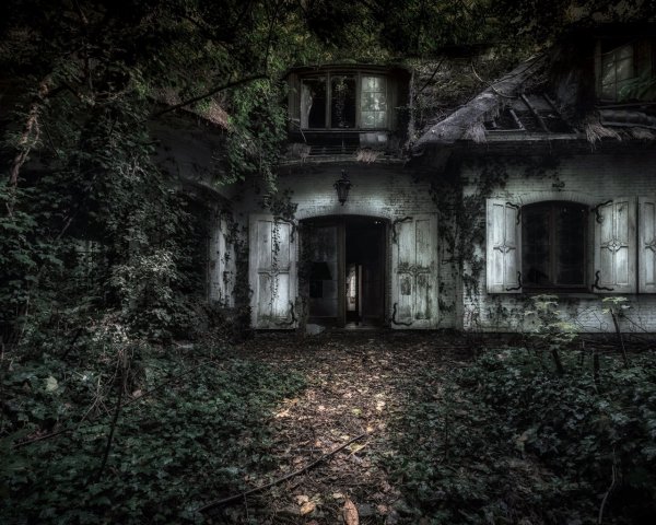 Заброшенный дом в лесу