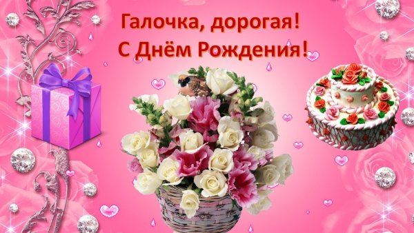 С днём рождения галочка