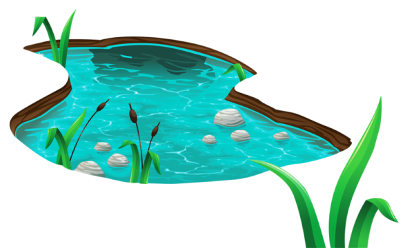 Водоем клипарт