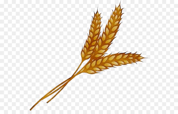 Пшеница мультяшный