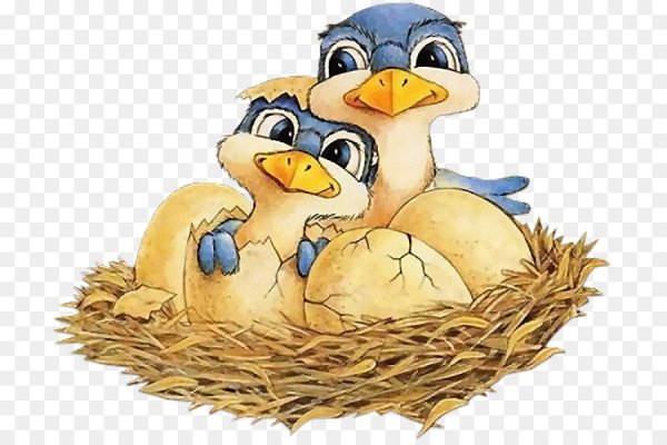 Мультяшные птенцы