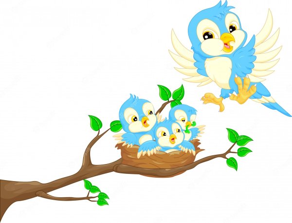 Птичка птенчик на ветке