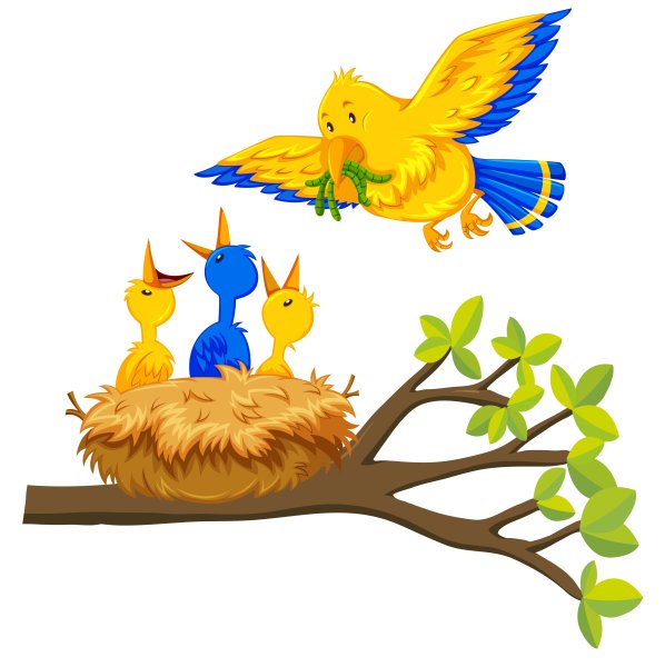 Птица с птенцами в гнезде вектор