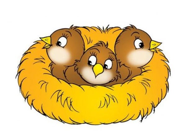 Птенцы в гнезде для детей