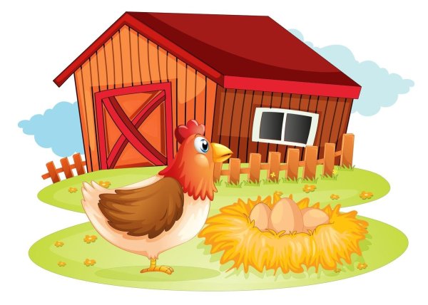 Курятник рисунок