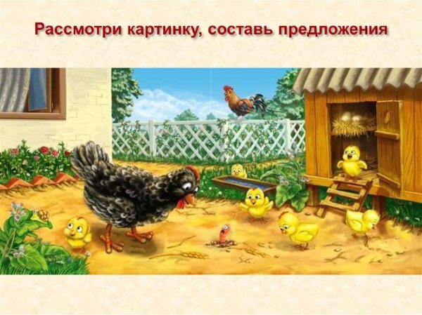 Птичий двор для детского сада