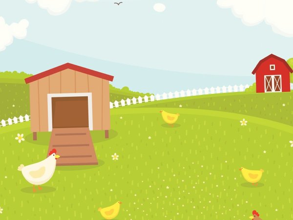 Курятник фон