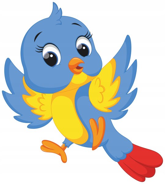 Красивые птички для детей