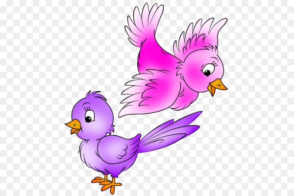 Птички картинки для детей