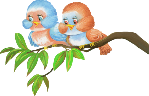 Птички на прозрачном фоне